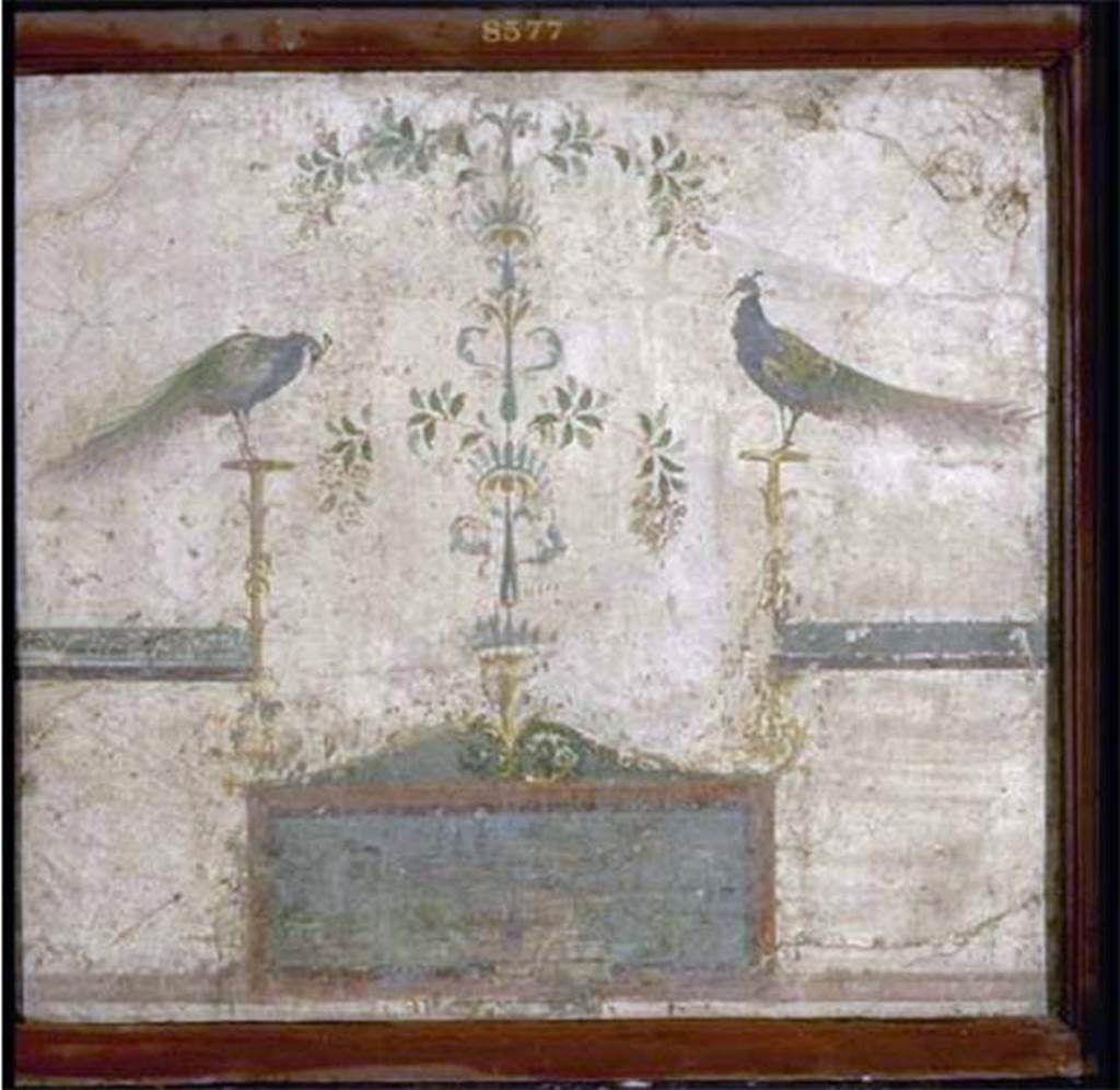 VIII.7.28 Pompeii. North part of the portico. Painting with two peacocks perched on candelabra and with a landscape.
Now in Naples Archaeological Museum. Inventory number 8577.