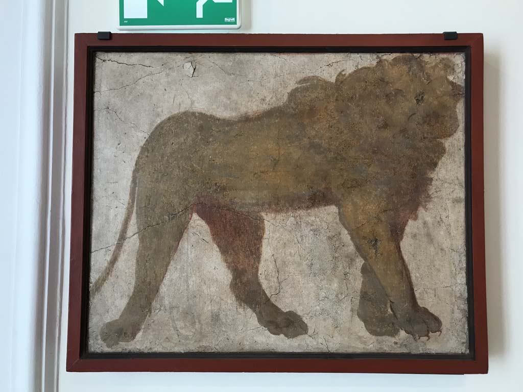 VIII.7.28 Pompeii. April 2019. Found on north wall of the sacrarium. Painting of lion.
Now in Naples Archaeological Museum. Inventory number 8564. Photo courtesy of Rick Bauer.
