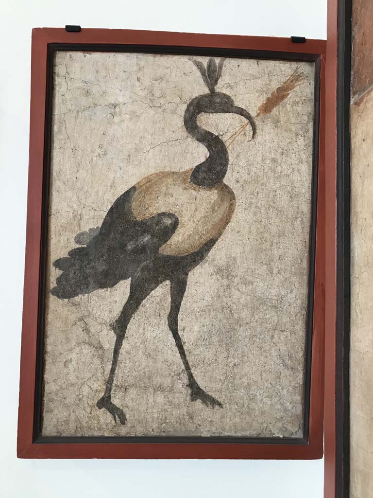 VIII.7.28 Pompeii. April 2019. Found on north wall of the sacrarium. Painting of sacred ibis.
Now in Naples Archaeological Museum. Inventory number 8562. Photo courtesy of Rick Bauer.