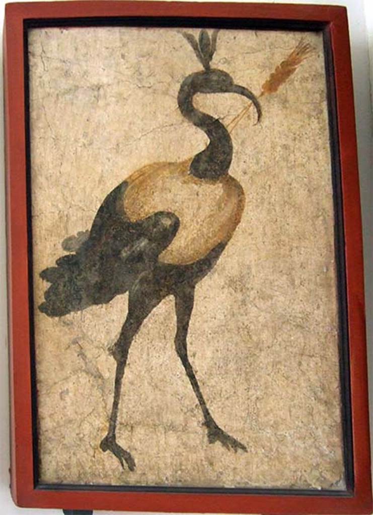 VIII.7.28 Pompeii. Found on north wall of the sacrarium. Painting of sacred ibis.
Now in Naples Archaeological Museum. Inventory number 8562.
