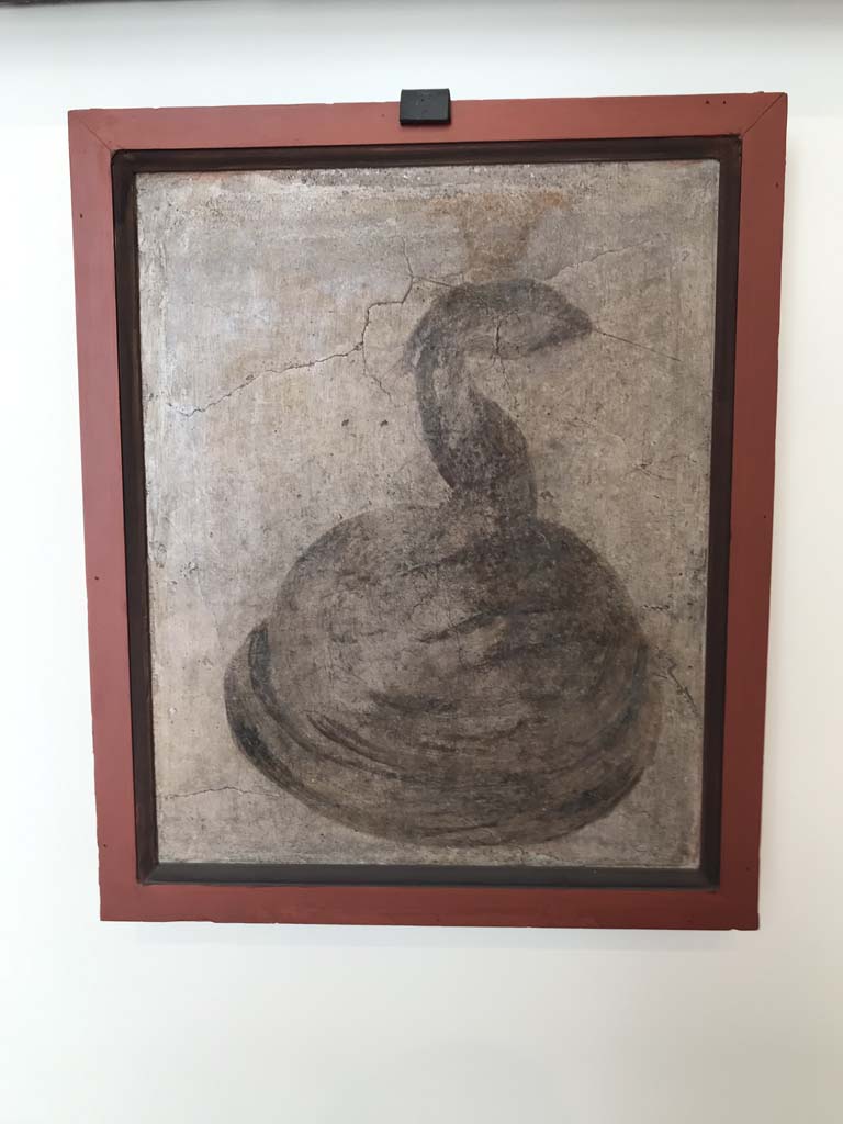 VIII.7.28 Pompeii. April 2019. Lower part of north wall of sacrarium. Painting of sacred cobra.
Now in Naples Archaeological Museum. Inventory number MDXII. Photo courtesy of Rick Bauer.