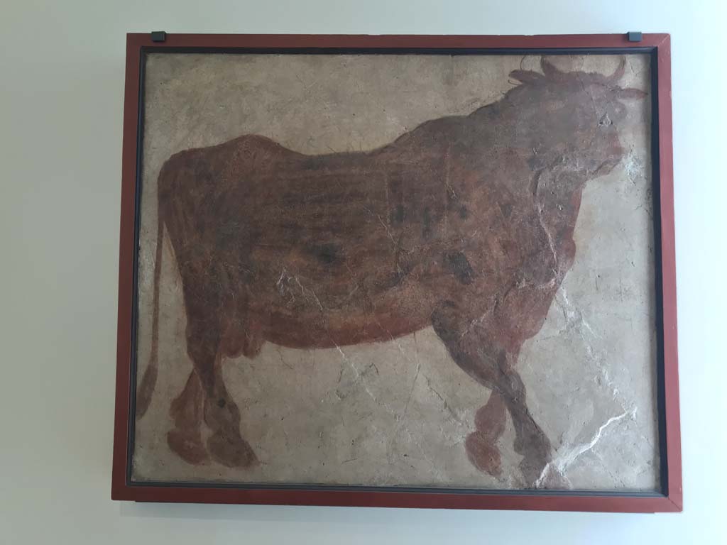 VIII.7.28 Pompeii. April 2019. Painting of sacred bull found on east wall of sacrarium.
Now in Naples Archaeological Museum. Inventory number 8565. Photo courtesy of Rick Bauer.