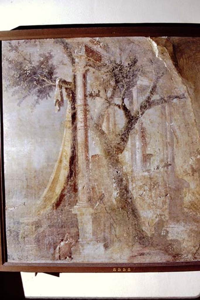 VIII.7.28 Pompeii. 1971. Fragment from west wall at north end. Now in Naples Archaeological Museum. Inventory number 8558. Photo by Stanley A. Jashemski.
Source: The Wilhelmina and Stanley A. Jashemski archive in the University of Maryland Library, Special Collections (See collection page) and made available under the Creative Commons Attribution-Non Commercial License v.4. See Licence and use details. J71f0281