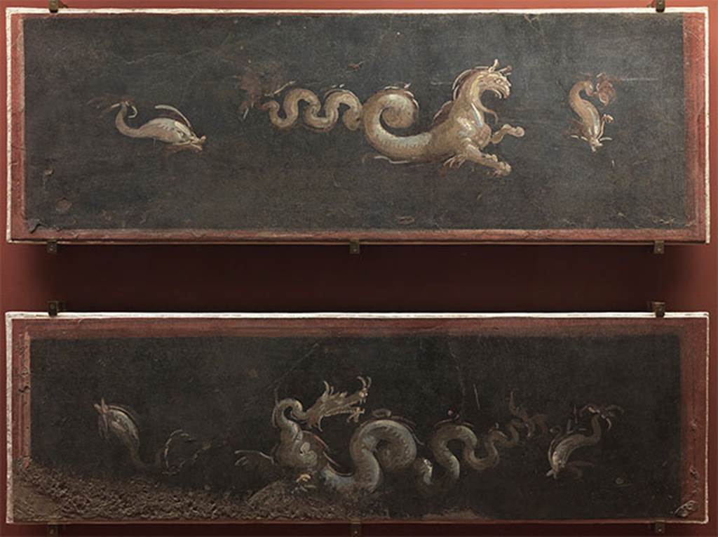VIII.7.28 Pompeii. Two frescoes from the zoccolo of the walls of the Ekklesiasterion.
A pair of frescoes from the Temple of Isis in Pompeii, originally located on the lower walls of the goddess's devotees meeting room.
Both with maritime themes, they present central figures-respectively horse and Sea Dragon with snake body-flanked by two dolphins.
Now in the Museu Nacional/UFRJ Brazil.
Following the disastrous fire at the Museum on 3rd September 2018 these may have been destroyed.
Par de afrescos provenientes do Templo de Isis, em Pompeia, localizados originalmente nas paredes inferiores da sala de reunião dos devotos da deusa.
Ambos com temas marítimos , apresentam figuras centrais - respectivamente cavalo e dragão marinhos com corpo de serpente - ladeadas por dois golfinhos.
See http://www.museunacional.ufrj.br/dir/exposicoes/arqueologia/culturas-mediterraneo/arqcmed016.html