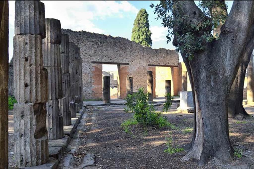 VIII.7.30 Pompeii. April 2018. Looking north along west side. Photo courtesy of Ian Lycett-King.
Use is subject to Creative Commons Attribution-NonCommercial License v.4 International.