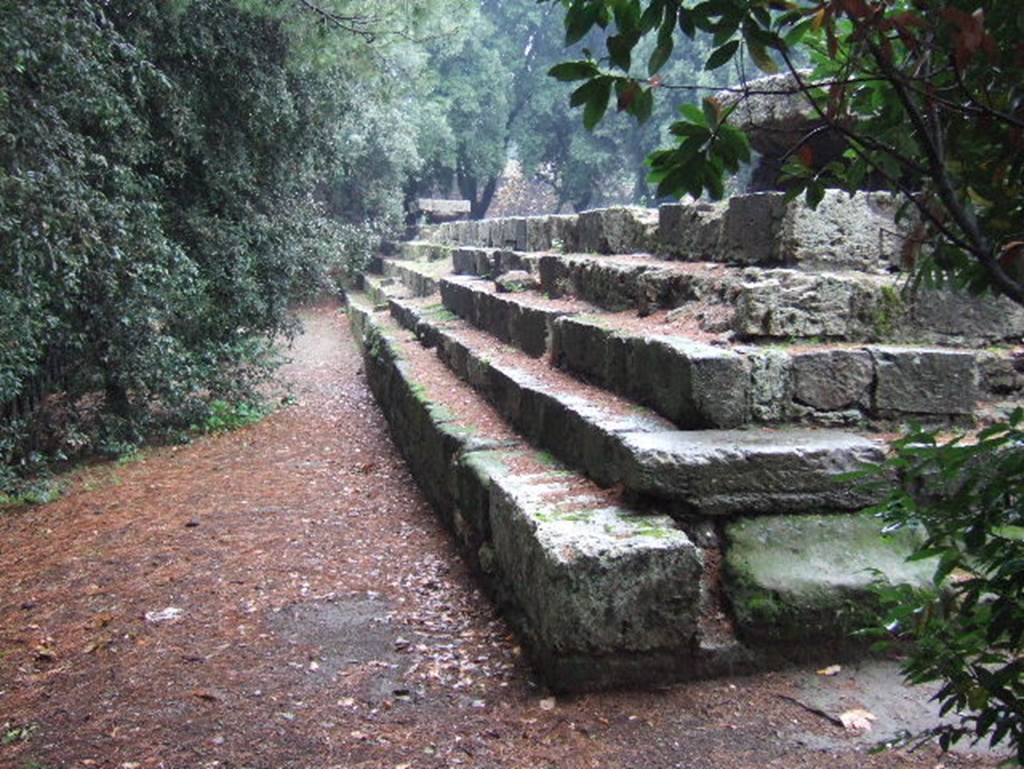 VIII.7.31 Pompeii. September 2005. Doric Temple. South side from south-east corner.