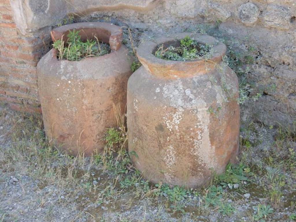 IX.1.3 Pompeii. May 2017. Looking south from rear of counter. Photo courtesy of Buzz Ferebee.