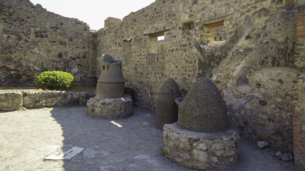 IX.1.3 Pompeii. August 2021.
Looking east along the south wall, on the left, in the south-east corner (with greenery) would have been a stall for the animals.
Photo courtesy of Robert Hanson.