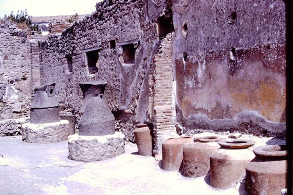 IX.1.3 Pompeii. 1966. Looking along south wall. Photo by Stanley A. Jashemski.
Source: The Wilhelmina and Stanley A. Jashemski archive in the University of Maryland Library, Special Collections (See collection page) and made available under the Creative Commons Attribution-Non Commercial License v.4. See Licence and use details.
J66f0119