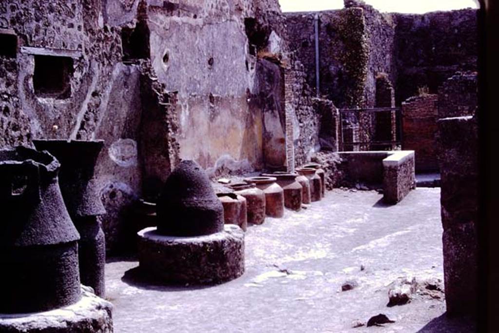 IX.1.3 Pompeii. 1966. Looking west across bakery to entrance on Via Stabiana. Photo by Stanley A. Jashemski.
Source: The Wilhelmina and Stanley A. Jashemski archive in the University of Maryland Library, Special Collections (See collection page) and made available under the Creative Commons Attribution-Non Commercial License v.4. See Licence and use details.
J66f0129