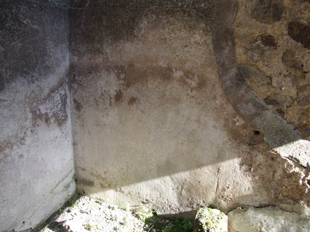 IX.1.4 Pompeii. March 2009. Plaster above hearth in south-east corner of rear room.