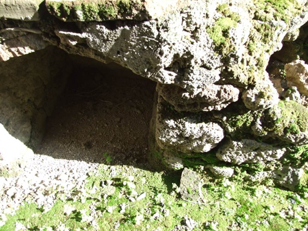 IX.1.4 Pompeii. March 2009. Underneath hearth.