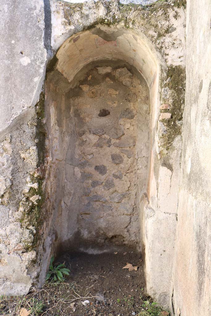 IX.1.18 Pompeii. December 2018.
Looking towards niche with vaulted arch set into east wall. Photo courtesy of Aude Durand.