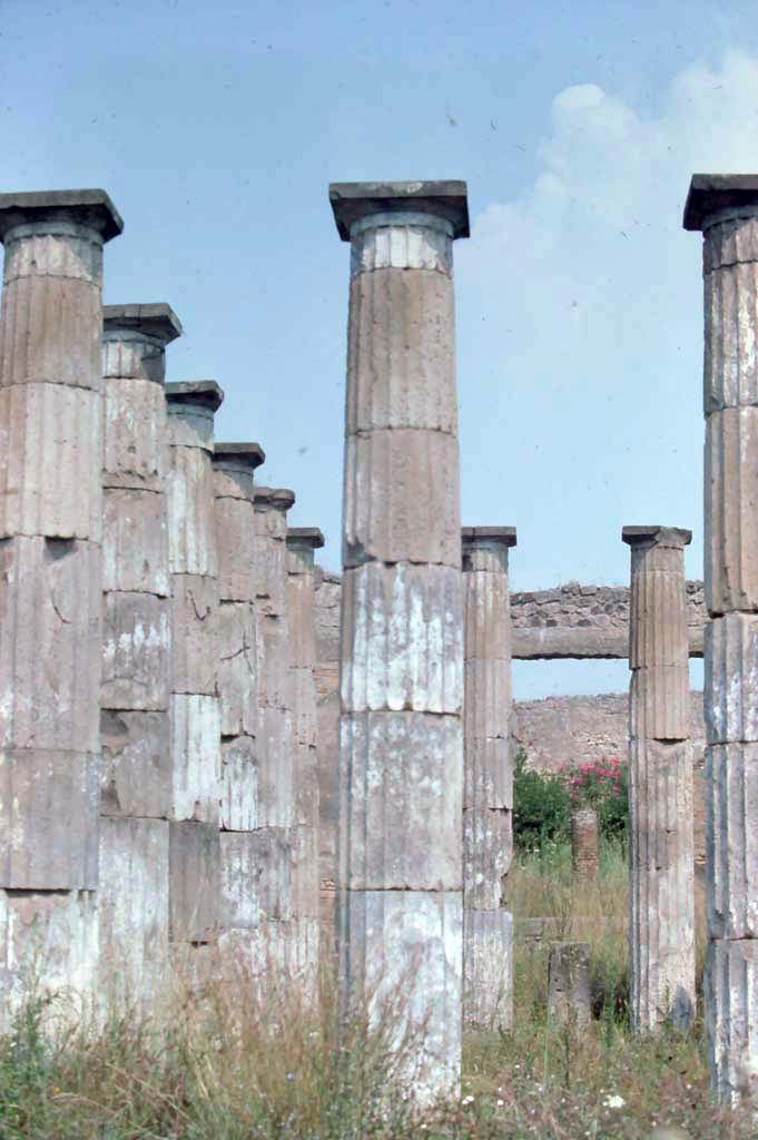IX.1.20 Pompeii, 7th August 1976. Looking north across columns in atrium.
Photo courtesy of Rick Bauer, from Dr George Fay’s slides collection.