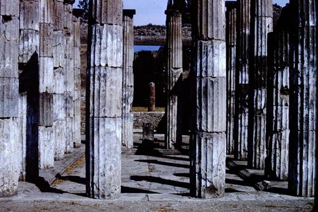IX.1.20Pompeii. 1966. Room 2, looking north across impluvium. Photo by Stanley A. Jashemski.
Source: The Wilhelmina and Stanley A. Jashemski archive in the University of Maryland Library, Special Collections (See collection page) and made available under the Creative Commons Attribution-Non Commercial License v.4. See Licence and use details.
J66f0466
