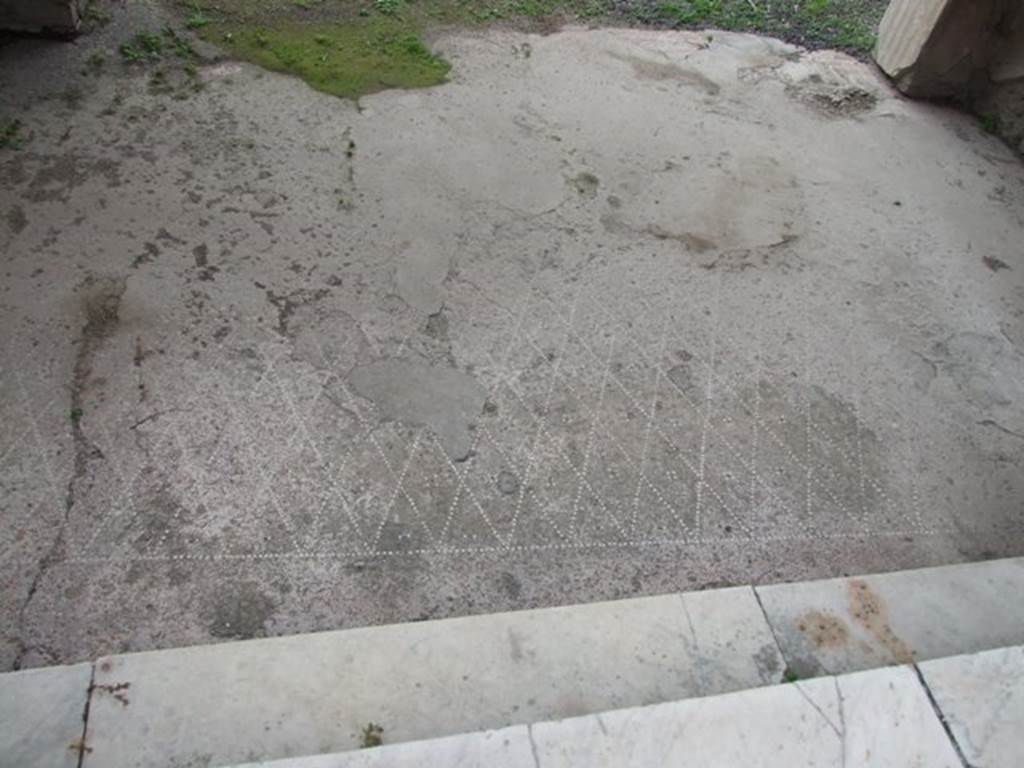 IX.1.22 Pompeii. December 2007. Room 7, decorated floor in tablinum viewed from rear steps.