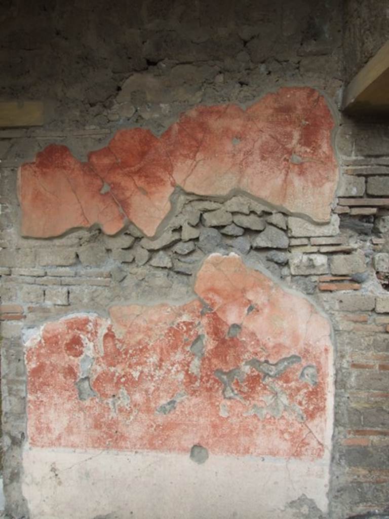 IX.1.22 House of M. Epidi Sabini. December 2007. Room 14. First peristyle. Painted plaster on north wall outside room 19.