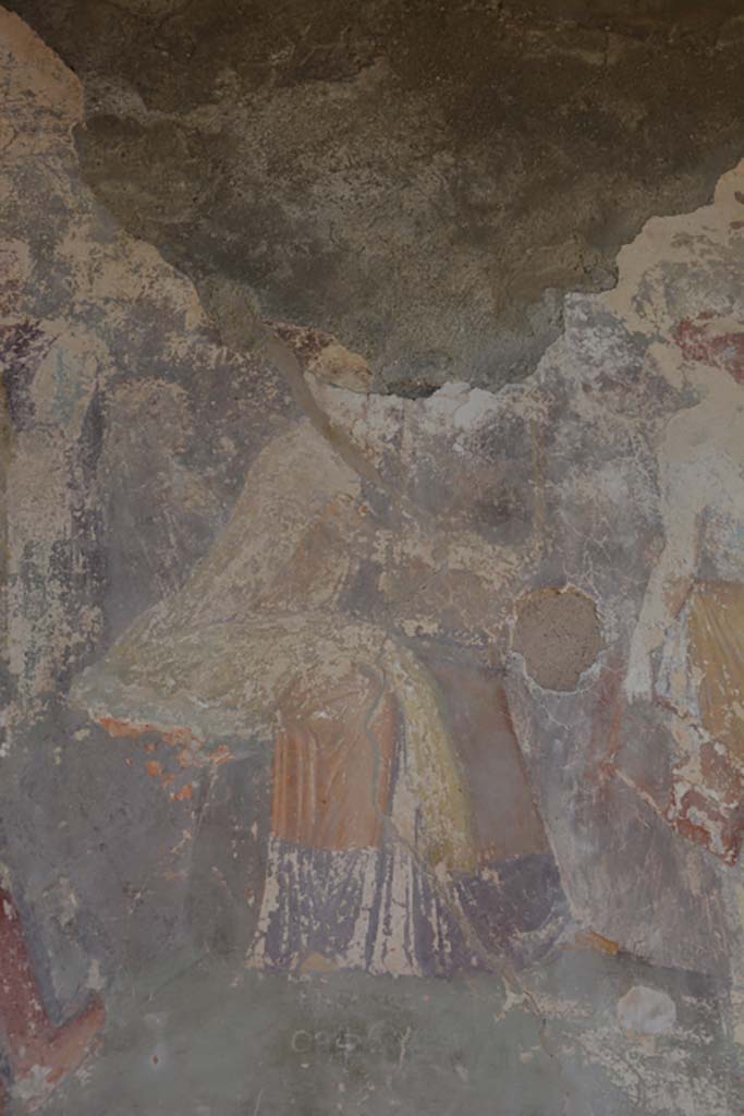 IX.1.22 Pompeii. September 2019. Room 19, detail from painting on north wall, Orpheus.
Foto Annette Haug, ERC Grant 681269 DÉCOR