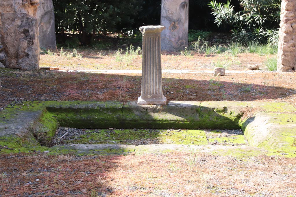 IX.1.29 Pompeii. October 2022. Looking west across impluvium in atrium. Photo courtesy of Klaus Heese.