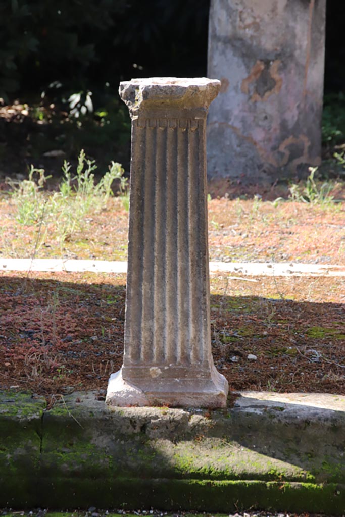 IX.1.29 Pompeii. October 2022. Detail from impluvium. Photo courtesy of Klaus Heese.