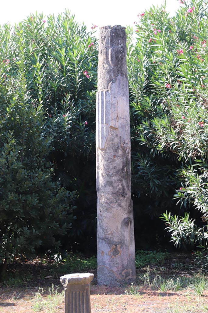 IX.1.29 Pompeii. October 2022. Detail of column in peristyle. Photo courtesy of Klaus Heese.