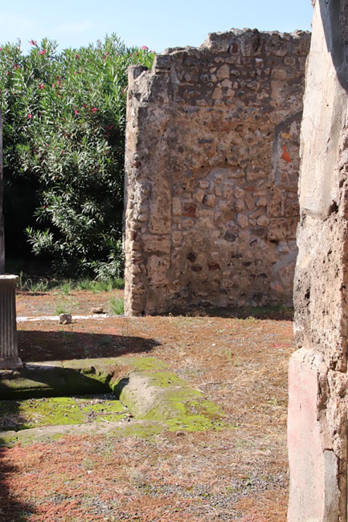 IX.1.29 Pompeii. October 2022.
Detail of lower west wall on north (right) side of doorway to peristyle. Photo courtesy of Klaus Heese.