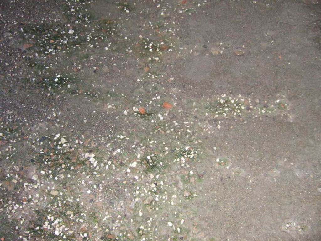 IX.2.5 Pompeii. December 2005. Triclinium floor, the floor was in simple cocciopesto with scattered white limestone flakes.