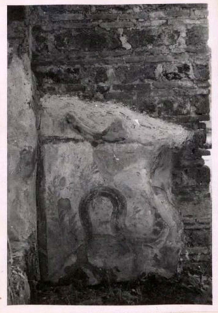 IX.2.6 Pompeii. Pre-1943. Photo by Tatiana Warscher.
According to Warscher, quoting Fiorelli –
In a rear room (b), on the west wall, is a fragmentary panel of white stucco bordered in red, on which is painted a single red serpent coiling among plants.
See Warscher, T. Codex Topographicus Pompeianus, IX.2. (1943), Swedish Institute, Rome. (no.15a.), p. 39.
Boyce records:
391
IX, ii, 6
Taberna. 1n a rear room, on the W. wall, is a fragmentary panel of white stucco bordered in red, on which is painted a single red serpent coiling among plants.
FIORELLI, Scavi, 55.