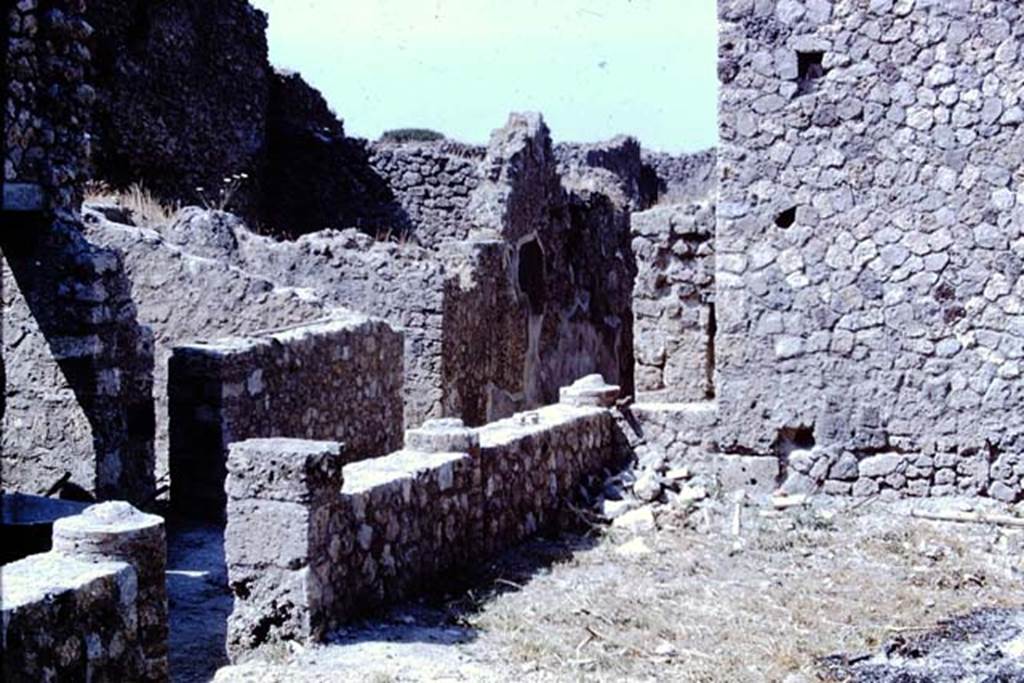 IX.2.10 Pompeii. 1966. Looking south-west from peristyle area, towards entrance corridor.
Photo by Stanley A. Jashemski.
Source: The Wilhelmina and Stanley A. Jashemski archive in the University of Maryland Library, Special Collections (See collection page) and made available under the Creative Commons Attribution-Non Commercial License v.4. See Licence and use details.
J66f0468
On the north side of the corridor, centre right in photo, would be the doorway to a triclinium, not photographed. According to Sogliano, the paintings found in this room, the triclinium on west side of peristyle, would be -
Psyche with plate in left hand. (no. 388 but nearly vanished). Psyche with cornucopia or similar, (no.389.), p.67.
Female figure, on a yellow background, with dark red mantle, in her right hand a plate and her left hand holding up a garland? (no.834), p.160.
See Sogliano, A., 1879. Le pitture murali campane scoverte negli anni 1867-79. Napoli: Giannini. (p.67 and 160)
According to Helbig, Apollo (H216), Endymion (H959), and Narcissus (H1360) were found here.
See Helbig, W., 1868. Wandgemälde der vom Vesuv verschütteten Städte Campaniens. Leipzig: Breitkopf und Härtel.