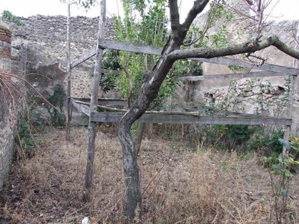 IX.2.16. Pompeii.  December 2007. Garden area looking north west to niche on north wall.