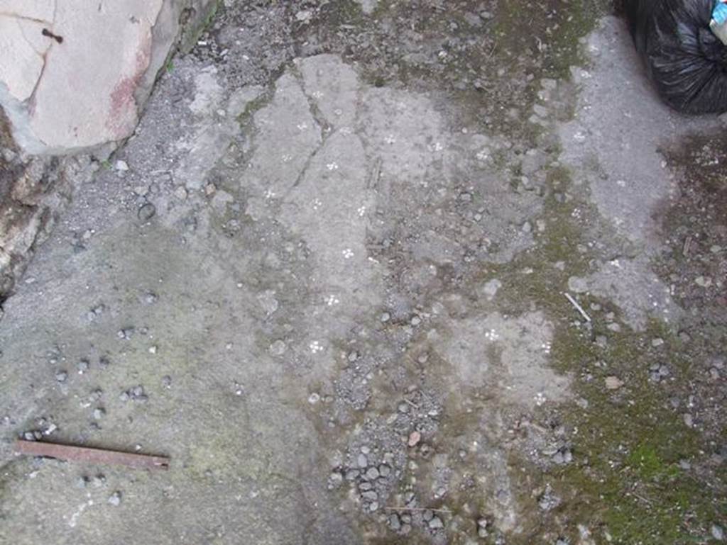 IX.2.16 Pompeii. March 2009. Decorated floor.