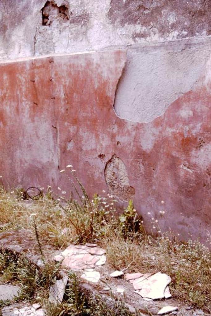 IX.2.16 Pompeii. 1964. Exterior painted wall on Vicolo di Balbo. Photo by Stanley A. Jashemski.
Source: The Wilhelmina and Stanley A. Jashemski archive in the University of Maryland Library, Special Collections (See collection page) and made available under the Creative Commons Attribution-Non Commercial License v.4. See Licence and use details. J64f0914