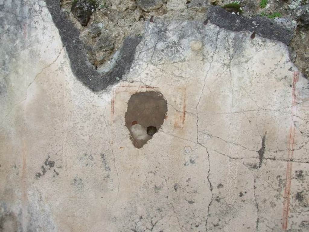 IX.2.16 Pompeii. March 2009. Remains of painted plaster.