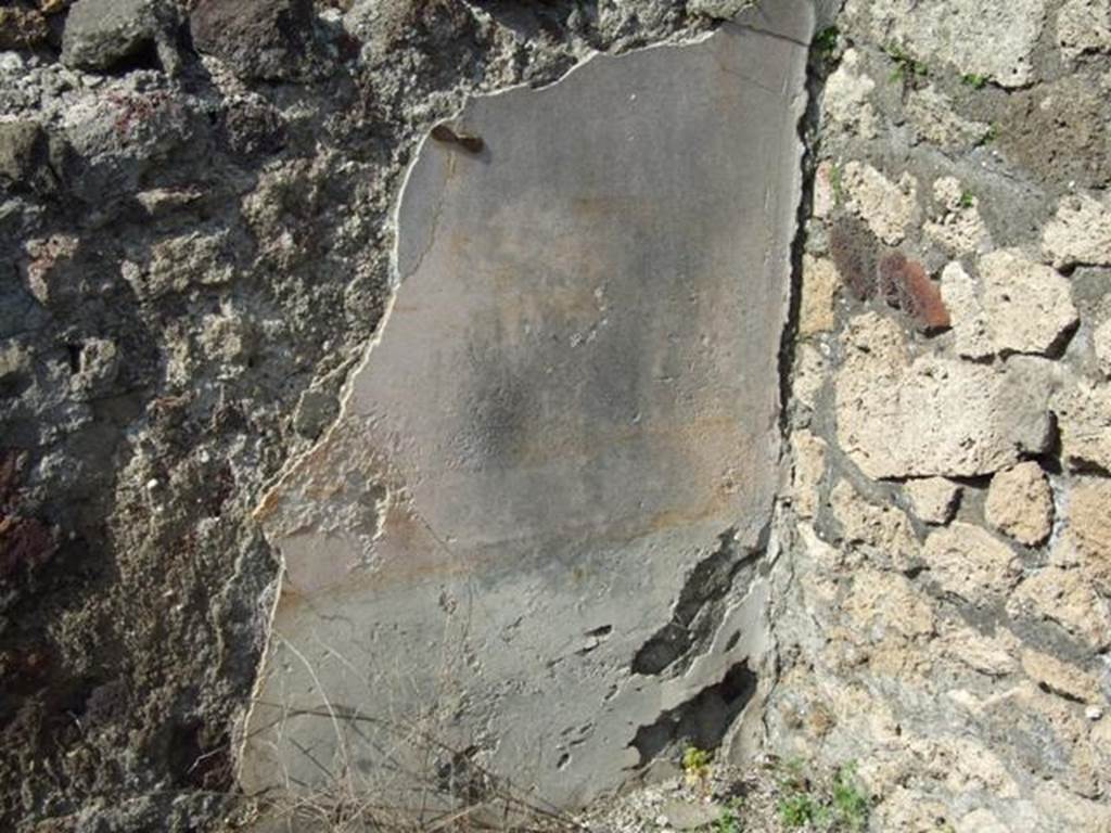 IX.2.17 Pompeii. March 2009. Room 7, exedra. Remains of painted plaster in north-east corner. The zoccolo would have been red, but now completely discoloured, the middle zone of the wall would have had yellow panels.