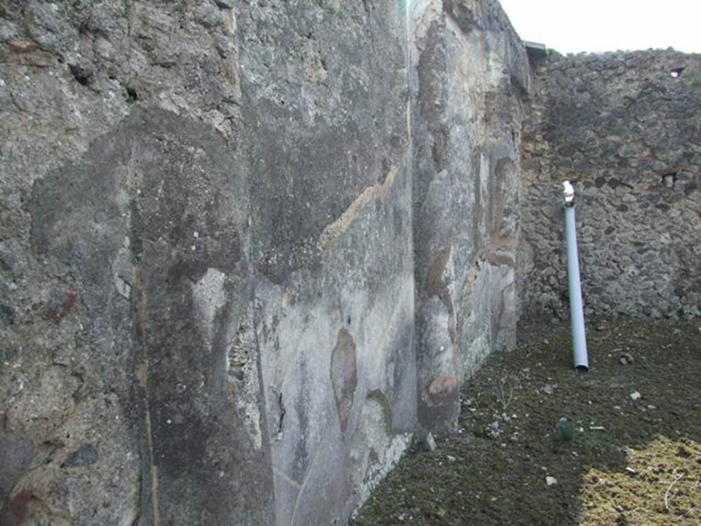 IX.2.17 Pompeii. March 2009. Room 9, Garden area. South wall.