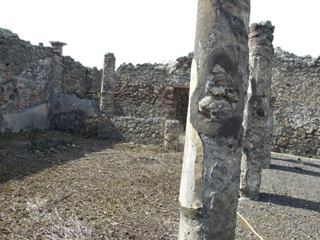 IX.2.17 Pompeii. March 2009. Room 9, Garden area. Detail of columns.