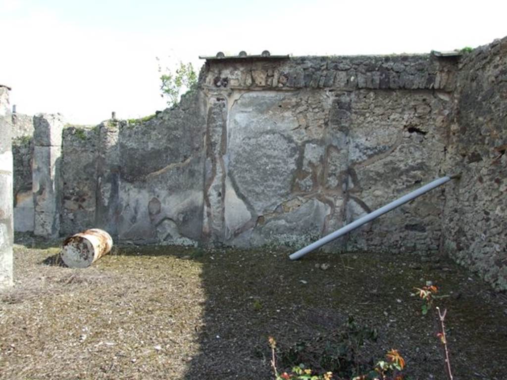 IX.2.17 Pompeii. March 2009. Room 9. Garden area. South wall.