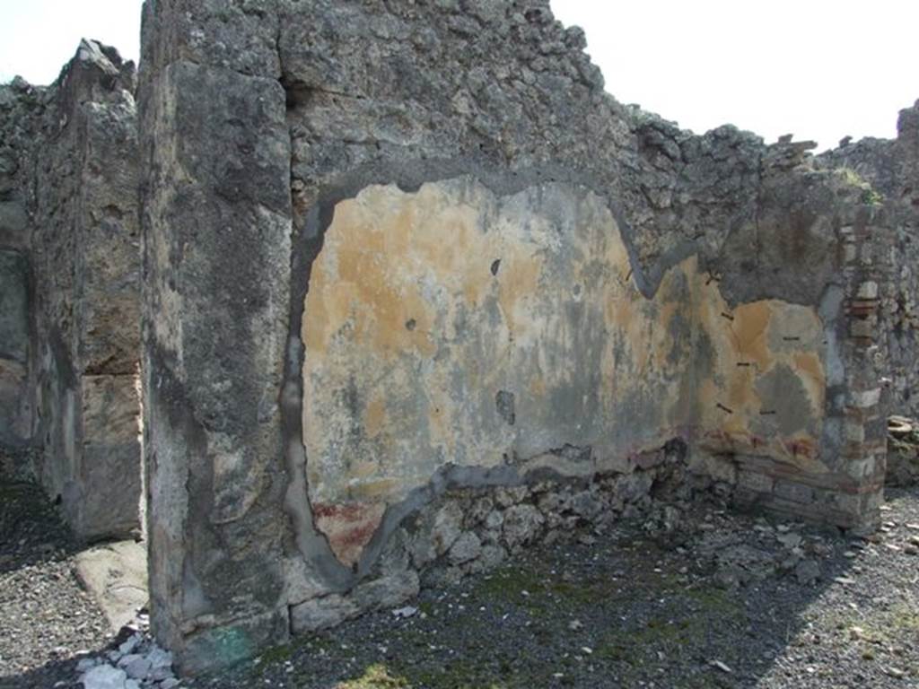 IX.2.18 Pompeii. March 2009. Room 5. Tablinum. South wall.