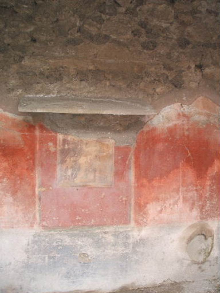 IX.2.21 Pompeii. May 2005. Wall painting on west wall.
