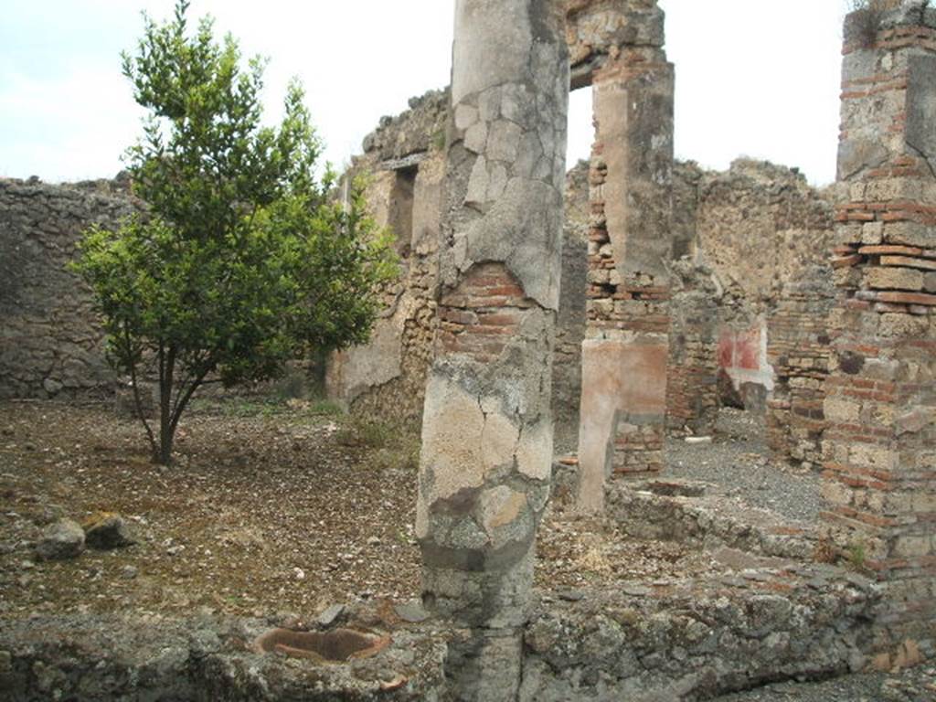 IX.2.21 Pompeii. May 2005. Looking north west across garden area.