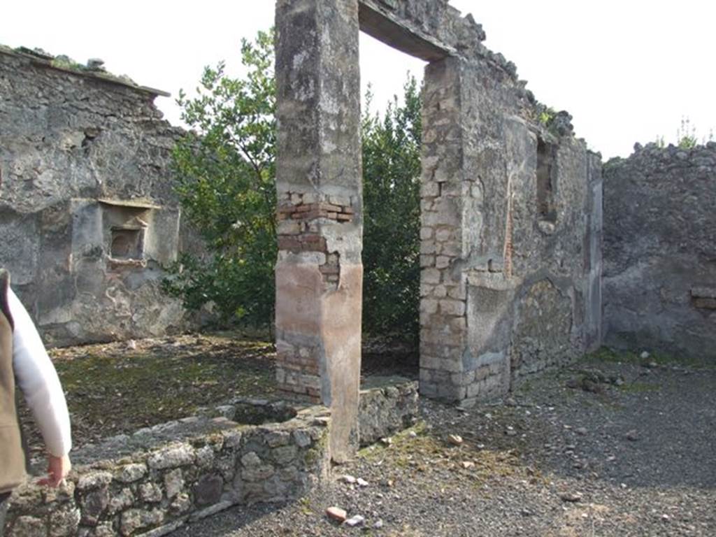 IX.2.21 Pompeii. March 2009. Room 11. North wall of garden area.
