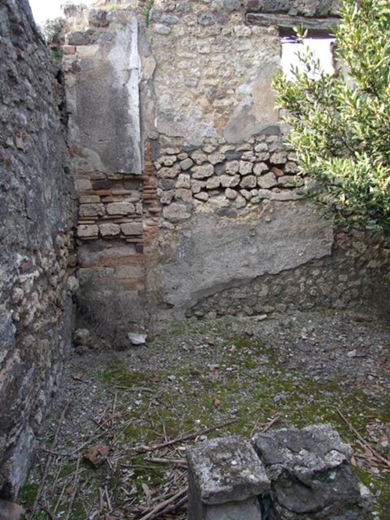 IX.2.21 Pompeii. March 2009. Room 11. West wall of garden area.