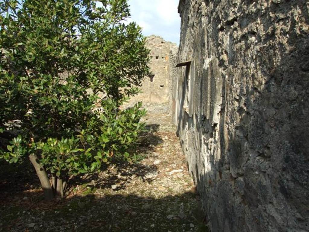 IX.2.21 Pompeii. March 2009. Room 11. Looking east along South wall.