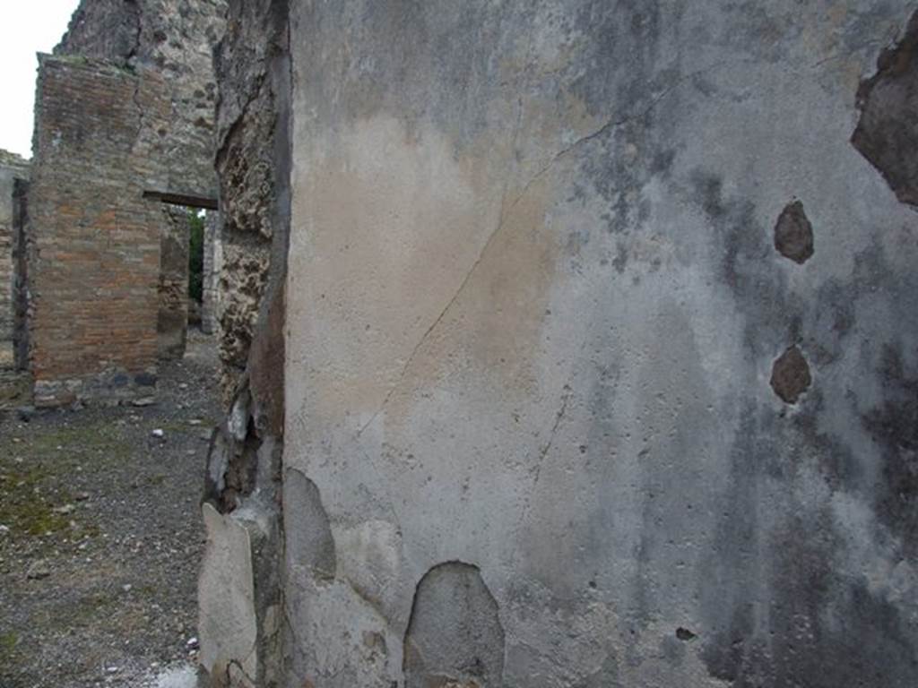 IX.2.21 Pompeii. March 2009. West side of entrance fauces.