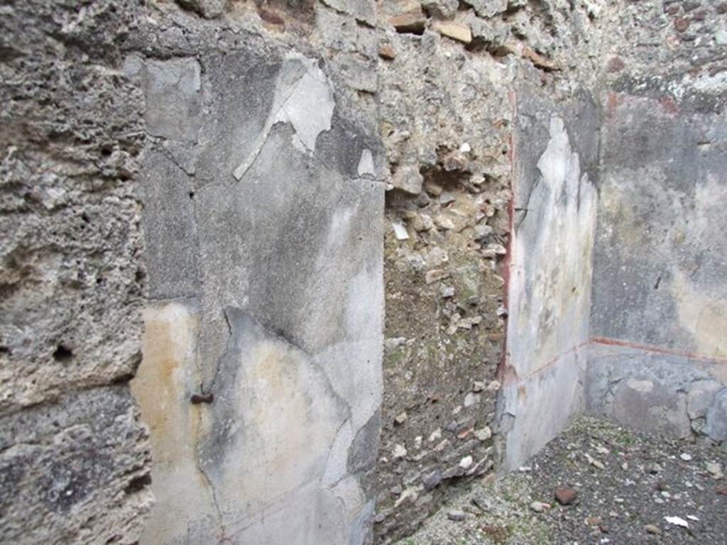 IX.2.23 Pompeii. March 2009. East wall of rear room. The black zoccolo would have been decorated with painted plants in panels, by a yellow middle zone and by a red frieze.