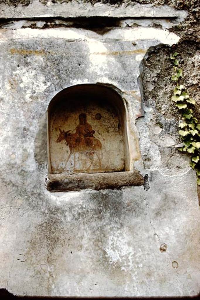 IX.2.24 Pompeii. 1961. Lararium niche on west wall of stable. Photo by Stanley A. Jashemski.
Source: The Wilhelmina and Stanley A. Jashemski archive in the University of Maryland Library, Special Collections (See collection page) and made available under the Creative Commons Attribution-Non Commercial License v.4. See Licence and use details.
J61f0296

