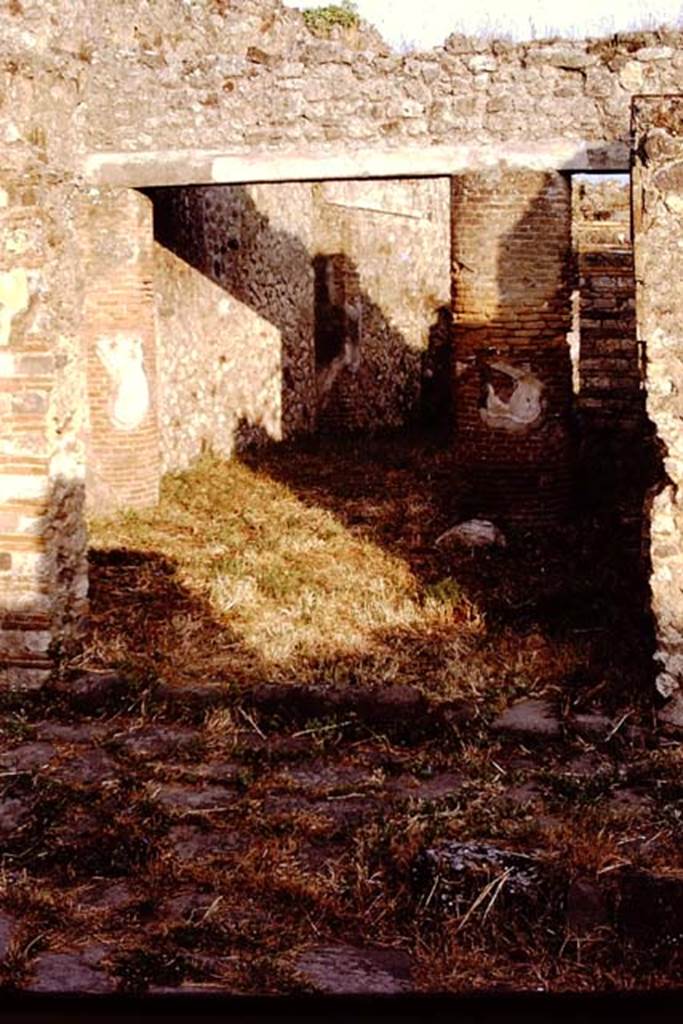 IX.2.24 Pompeii. 1972. Looking south from entrance. Photo by Stanley A. Jashemski.
Source: The Wilhelmina and Stanley A. Jashemski archive in the University of Maryland Library, Special Collections (See collection page) and made available under the Creative Commons Attribution-Non Commercial License v.4. See Licence and use details. J72f0105