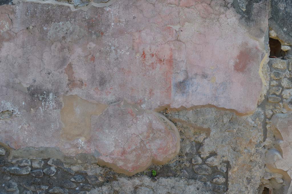 IX.2.26 Pompeii. March 2019. Detail of painted decoration from west side of entrance doorway.
Foto Taylor Lauritsen, ERC Grant 681269 DÉCOR.