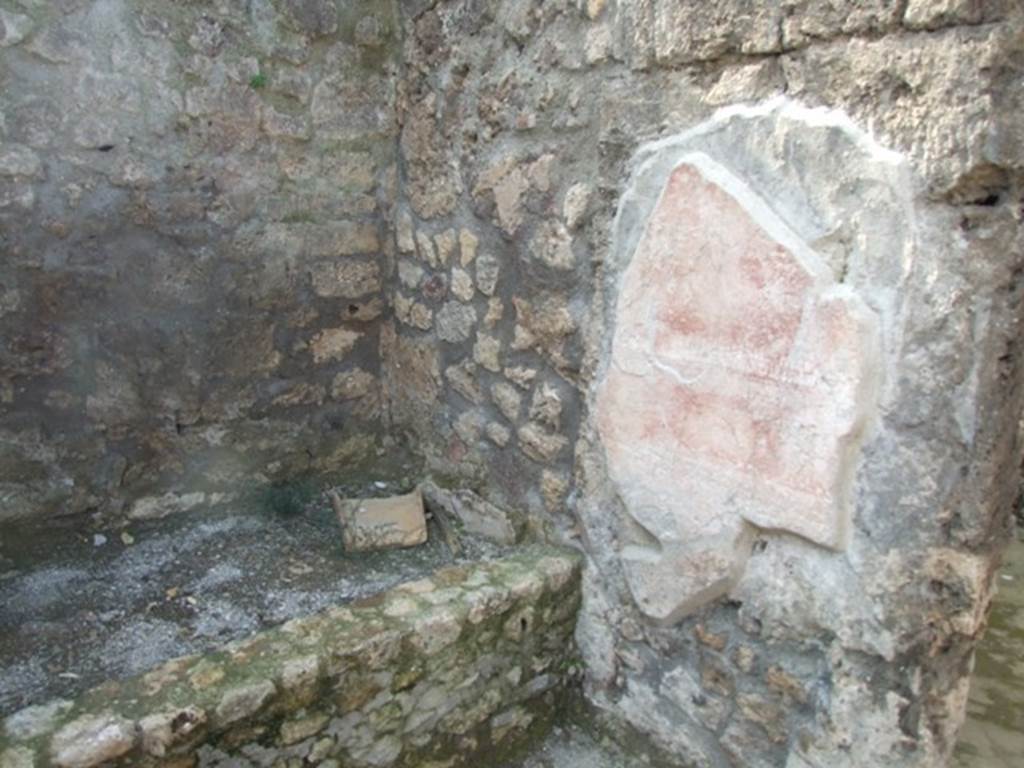 IX.3.5 Pompeii. March 2009. Room 30. Secondary atrium.  North-west corner with remains of painted plaster.

