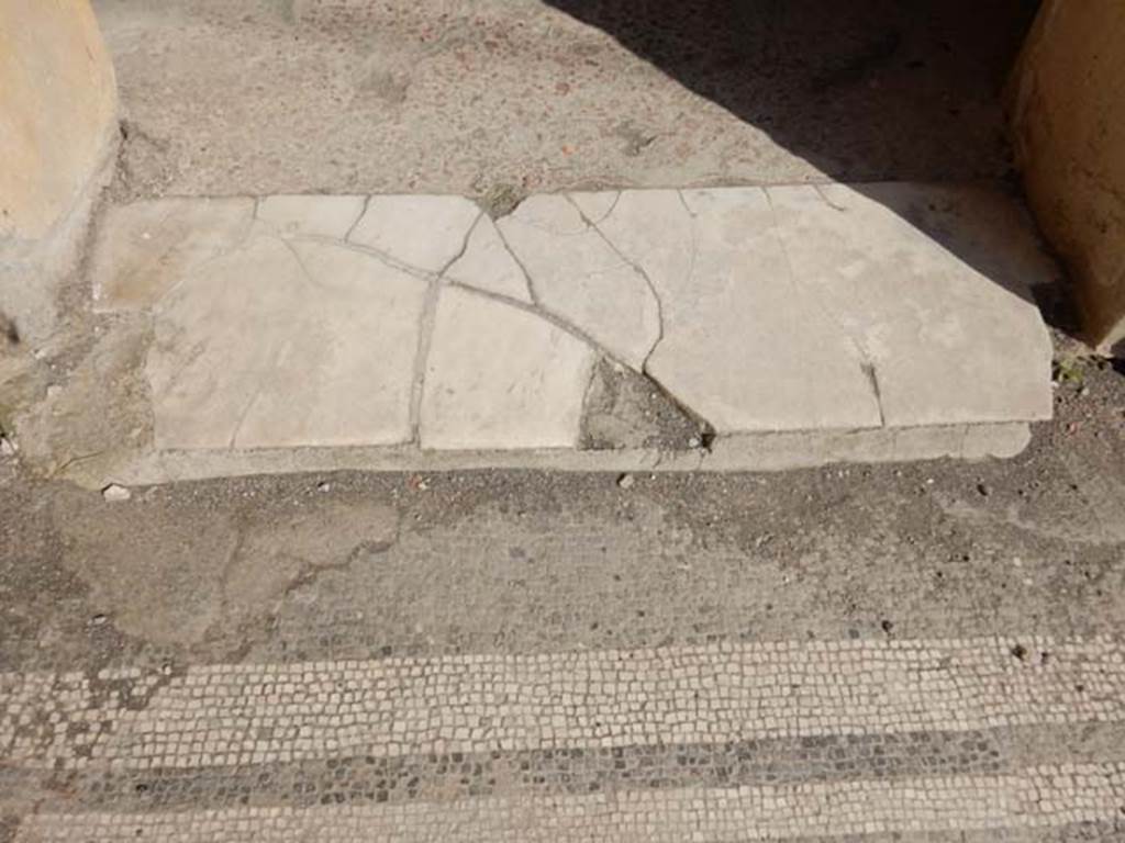 IX.3.5 Pompeii. May 2015. Room 4, flooring in doorway to cubiculum, from atrium.
Photo courtesy of Buzz Ferebee.